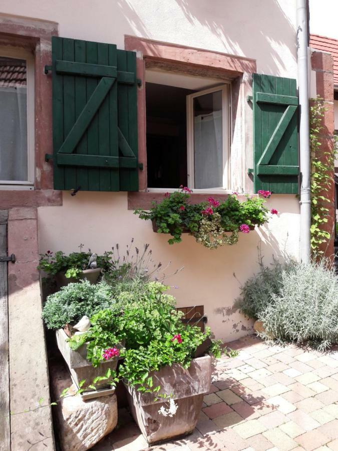 Charmant Petit Appartement En Alsace Bouxwiller  Luaran gambar
